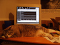 lars on desk close.jpg